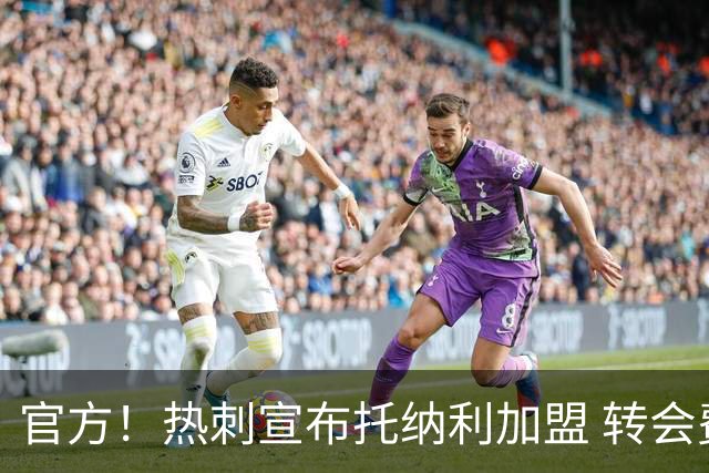 官方！热刺宣布托纳利加盟 转会费1亿镑再破队史纪录