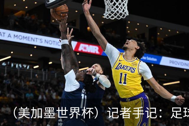 （美加墨世界杯）记者手记：足球世界，规则谁定？